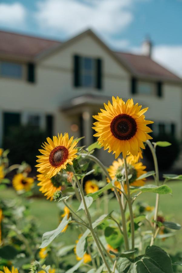 Skaneateles Suites Dış mekan fotoğraf